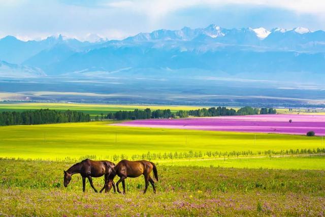 七月，忽然就想去新疆了