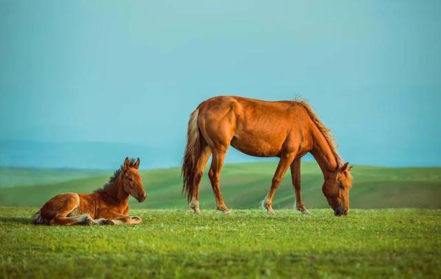 七月，忽然就想去新疆了