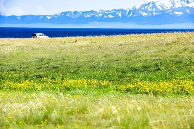 七月，忽然就想去新疆了