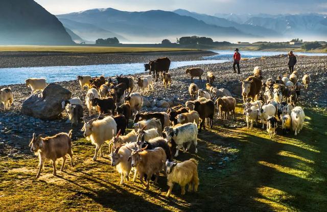 七月，忽然就想去新疆了