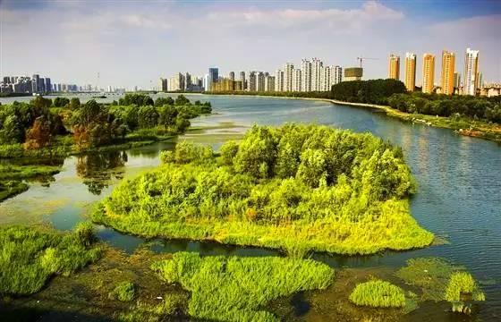 秦岭：中国国家中央公园