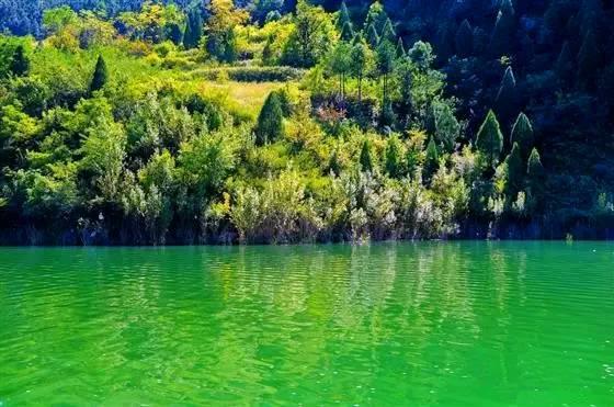 秦岭：中国国家中央公园