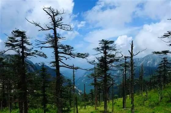 秦岭：中国国家中央公园