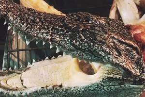 365户外带你走进越南品尝美食