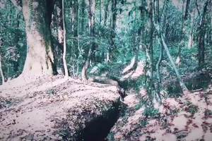 来凤山--抗战遗址