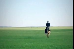 呼伦贝尔大草原