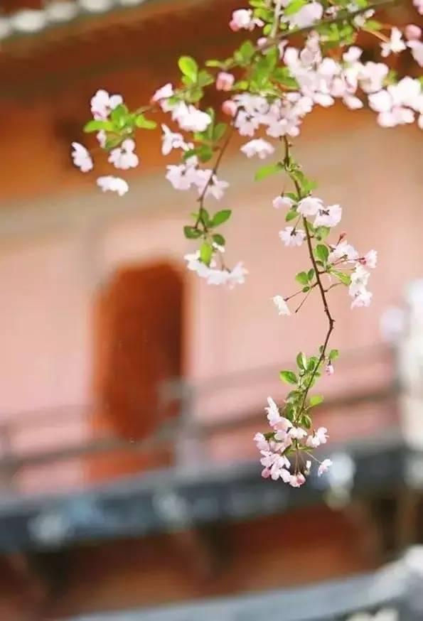 每段路，都是一种领悟