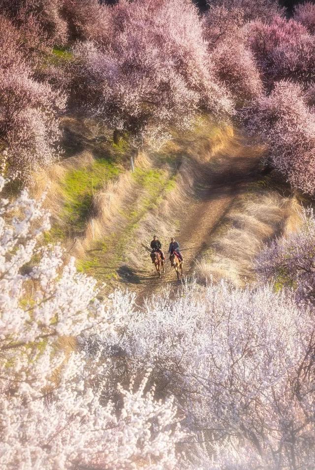 《国家地理》评选中国一生必去的16个地方