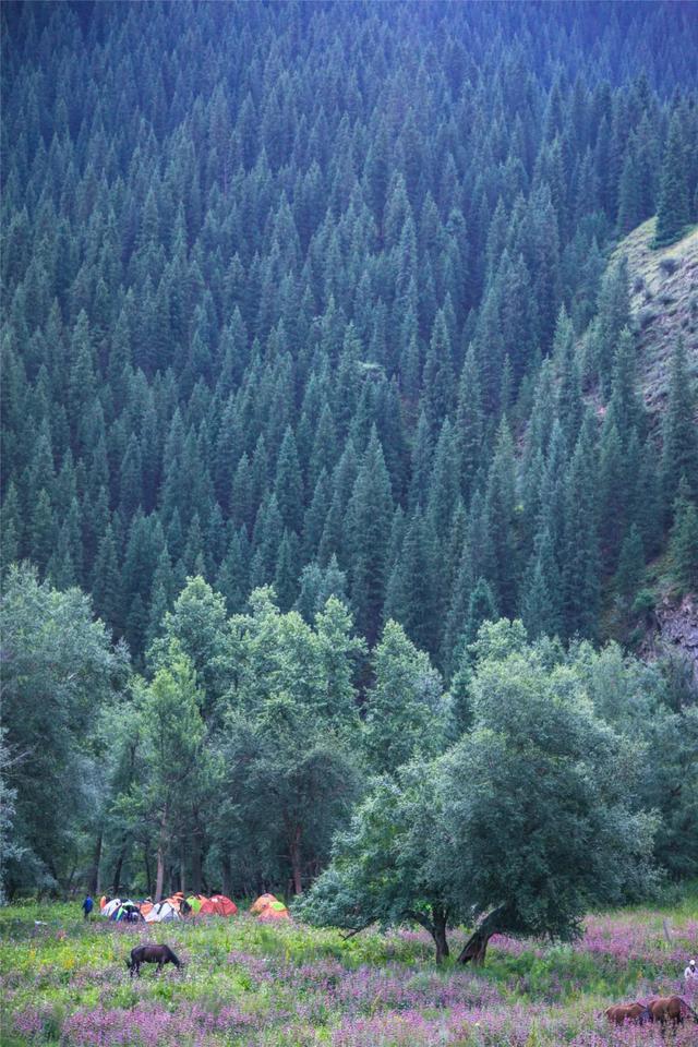 国内这条史诗般的户外徒步线路，去过后人间值得！