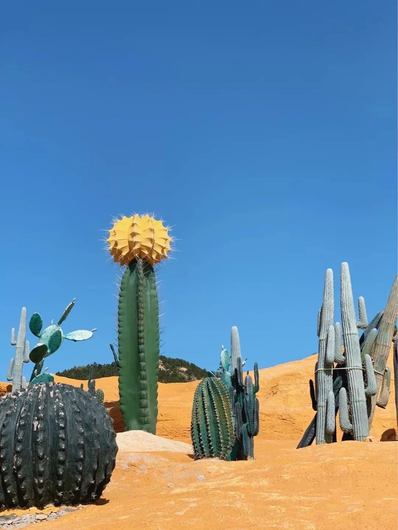 @小红书：孙困困