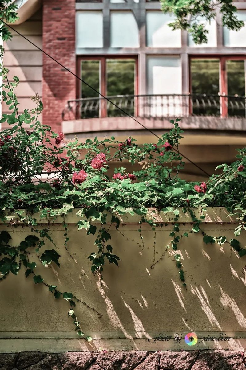 《送你一朵小红花》票房破8亿，打卡易烊千玺走过的这些宝藏取景地！