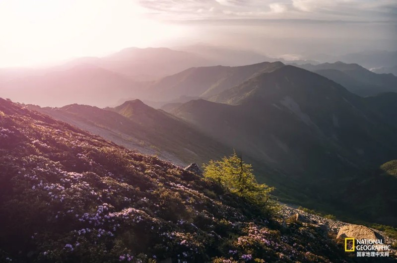 这种秦岭，才是“龙脉”的精华