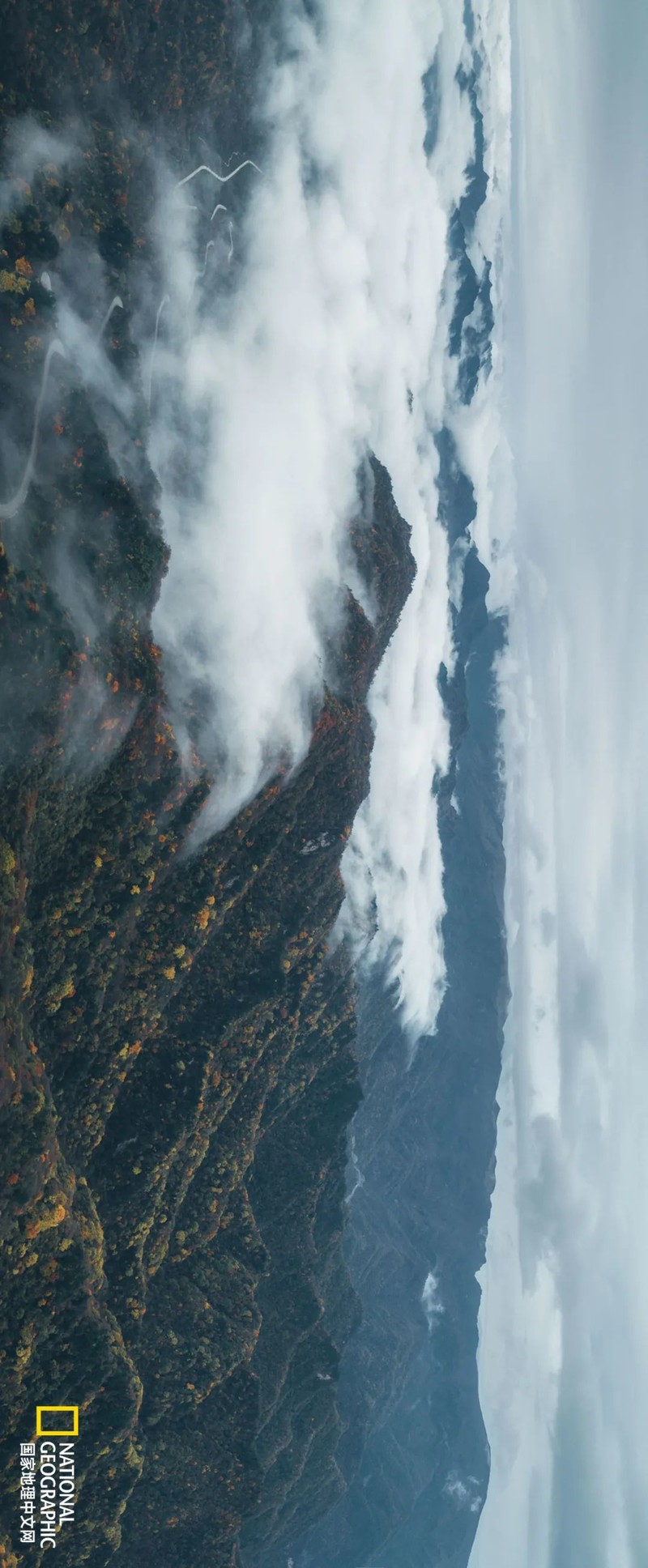 这种秦岭，才是“龙脉”的精华