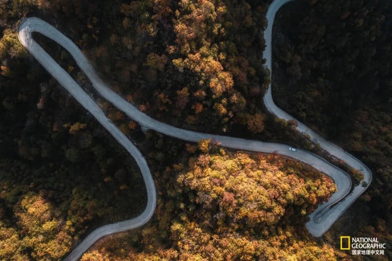 这种秦岭，才是“龙脉”的精华