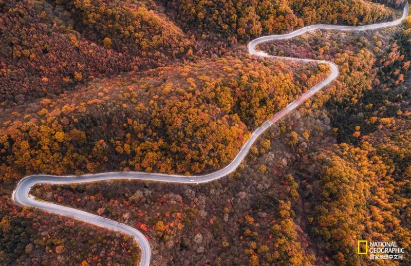 这种秦岭，才是“龙脉”的精华