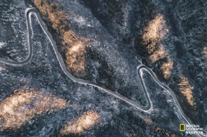 这种秦岭，才是“龙脉”的精华