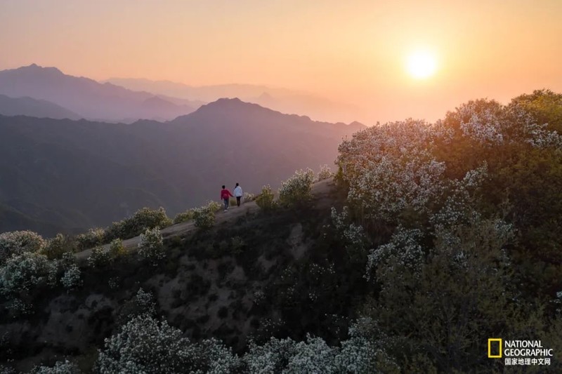 这种秦岭，才是“龙脉”的精华