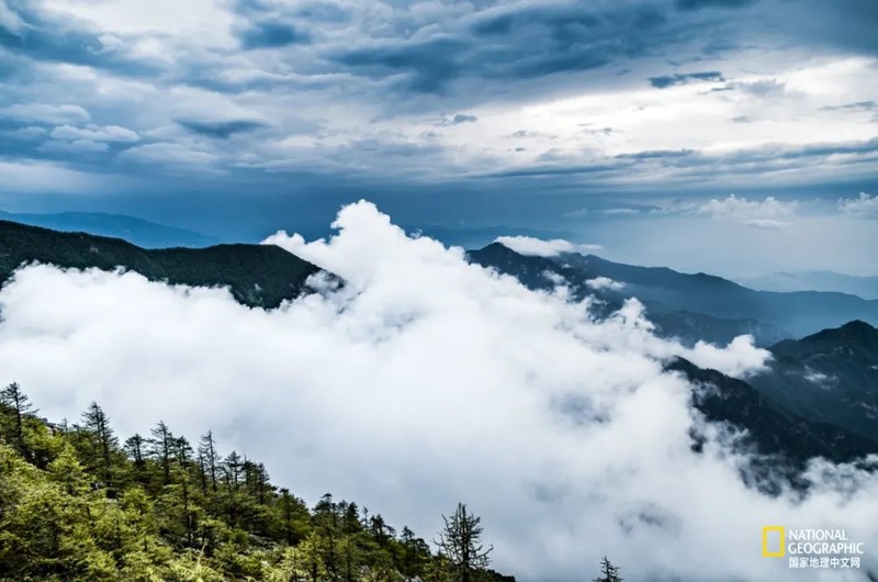 这种秦岭，才是“龙脉”的精华