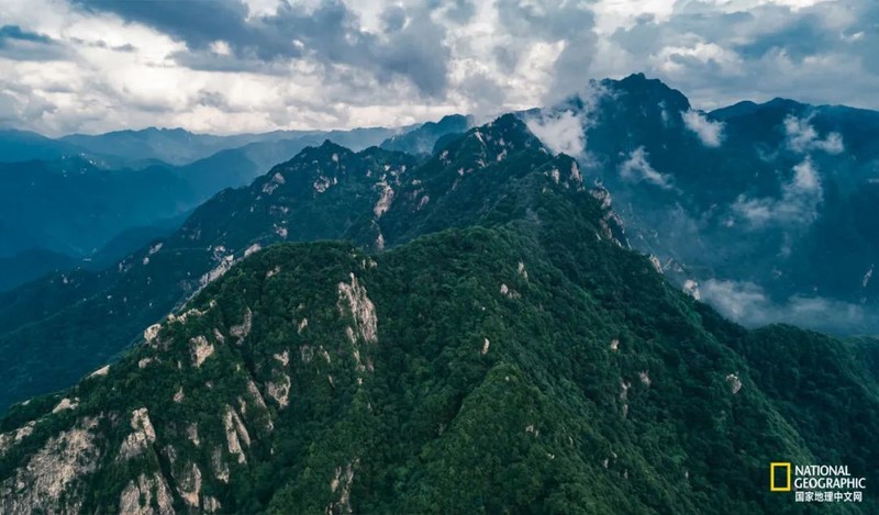 这种秦岭，才是“龙脉”的精华