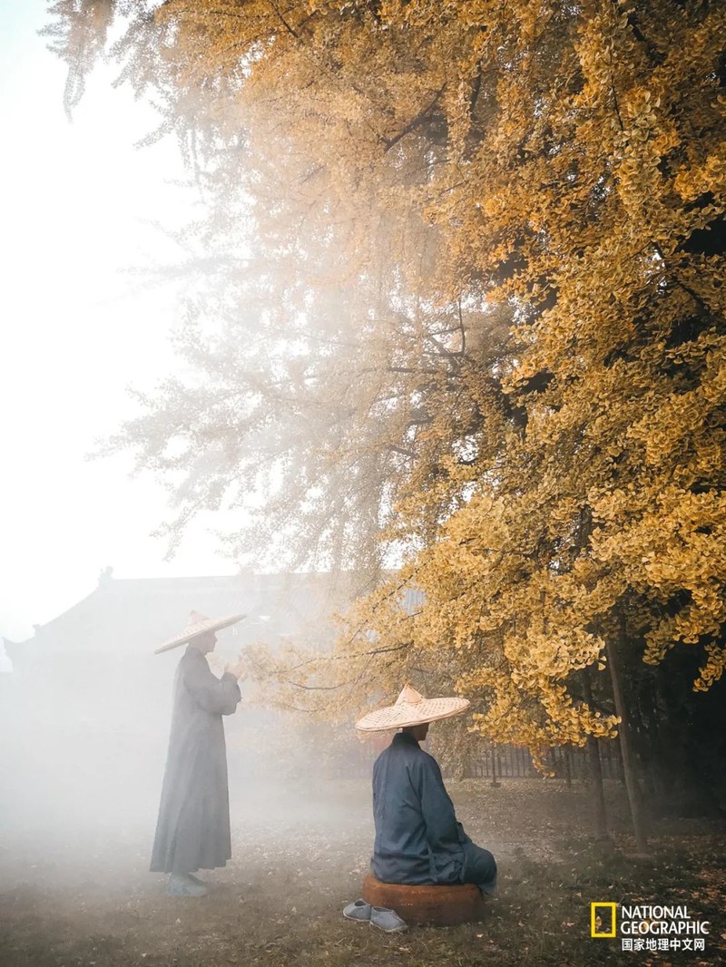 这种秦岭，才是“龙脉”的精华