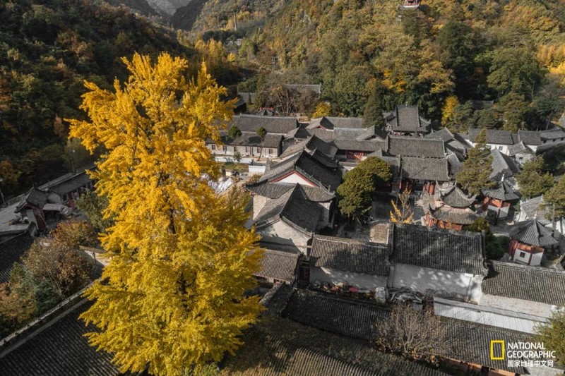 这种秦岭，才是“龙脉”的精华