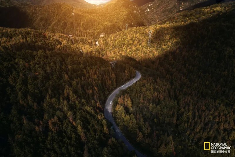 这种秦岭，才是“龙脉”的精华