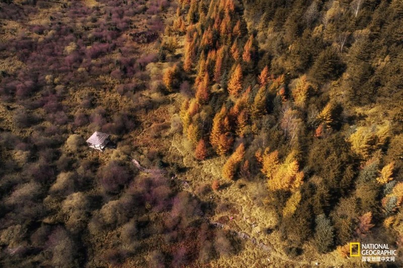 这种秦岭，才是“龙脉”的精华