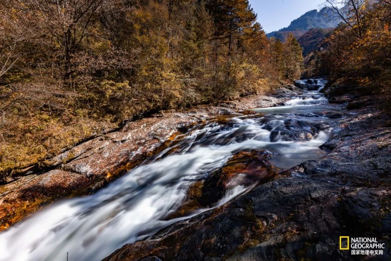 这种秦岭，才是“龙脉”的精华