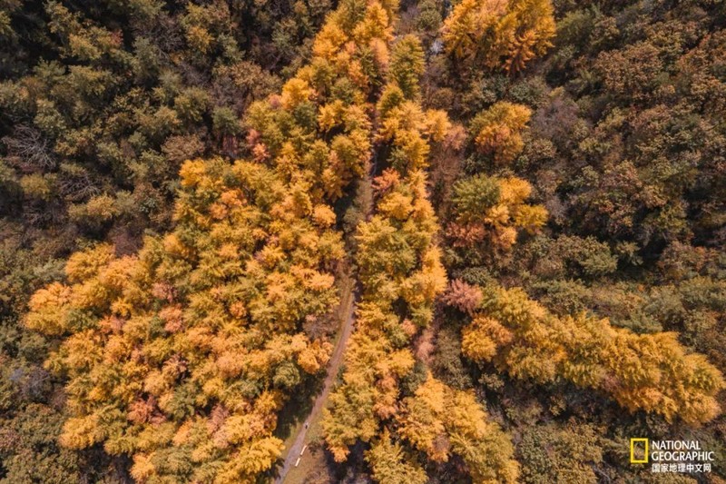 这种秦岭，才是“龙脉”的精华