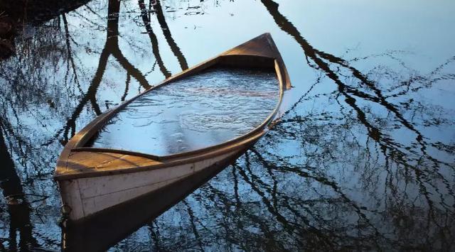 一场疫情，把一切看淡；让一切随缘！