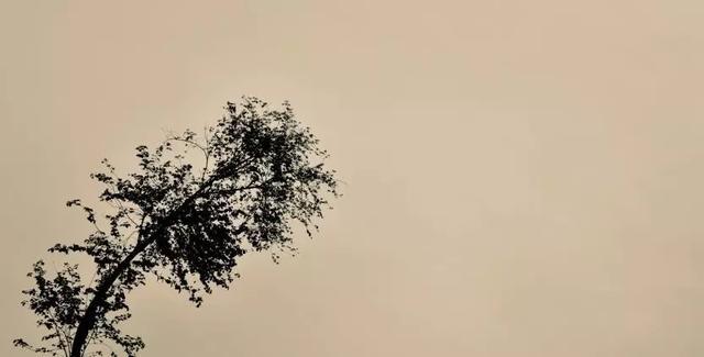 一场疫情，把一切看淡；让一切随缘！