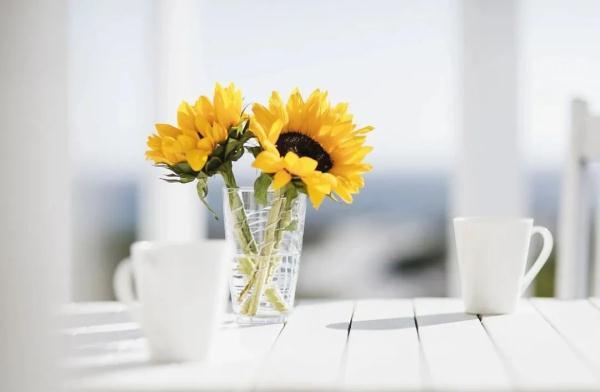 遇事最有水平的处理方式