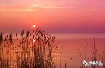 96岁北大教授夫人断食结束生命！生前这段话，值得所有退休人看看！