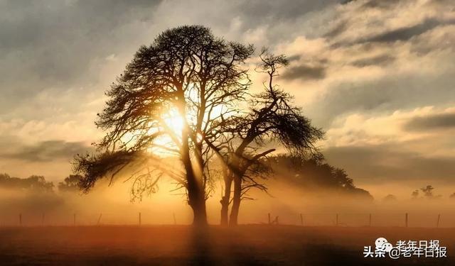 96岁北大教授夫人断食结束生命！生前这段话，值得所有退休人看看！