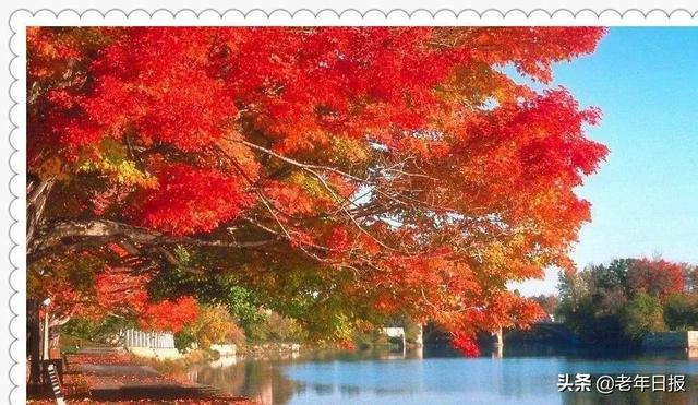 96岁北大教授夫人断食结束生命！生前这段话，值得所有退休人看看！