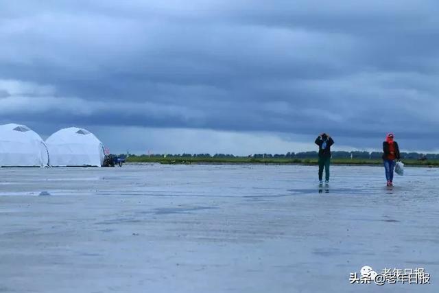 96岁北大教授夫人断食结束生命！生前这段话，值得所有退休人看看！