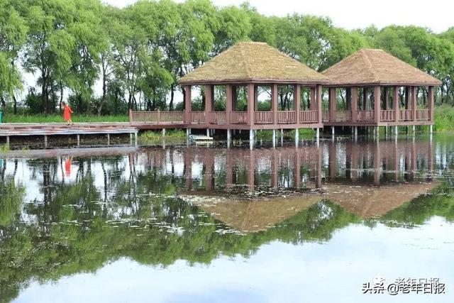96岁北大教授夫人断食结束生命！生前这段话，值得所有退休人看看！