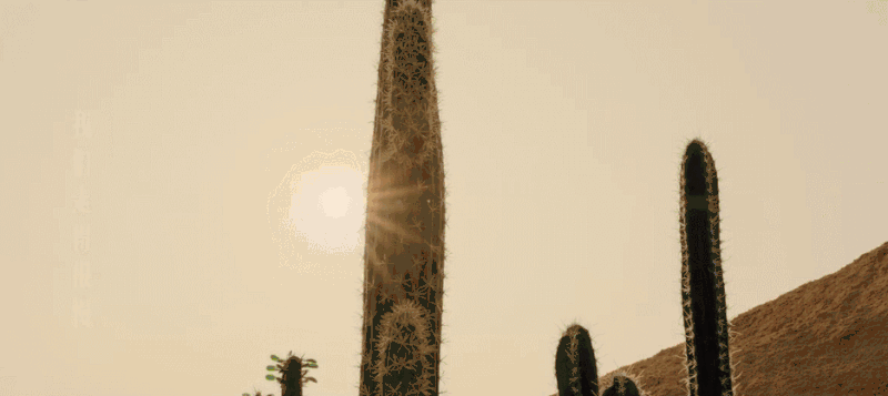 《送你一朵小红花》票房破8亿，打卡易烊千玺走过的这些宝藏取景地！