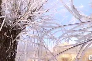 12月8/9号步云山温泉活动