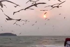 27号徒步爬山秀月山、燕窝岭、小付家庄视频分享