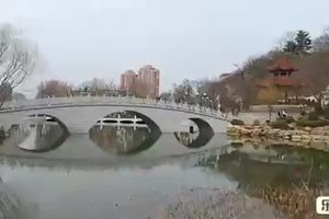 留街活动植物园儿童公园劳动公园赏桃花活动视频