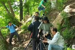 千岛湖活动视频