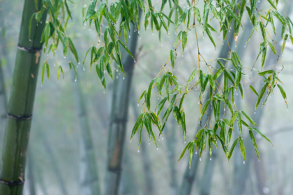 「清明特价」4.2 寻龙门飞瀑,登顶富阳最高峰;逛龙门古镇,探寻孙权故里