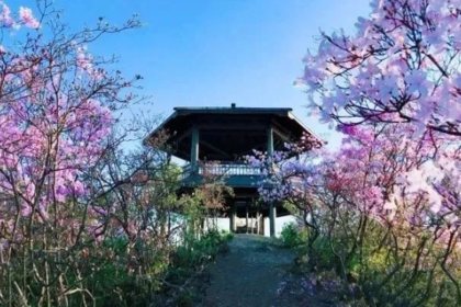 「先行者计划」 4.12 徒步富阳九仰坪,探访原生态古村落,看漫山映山红