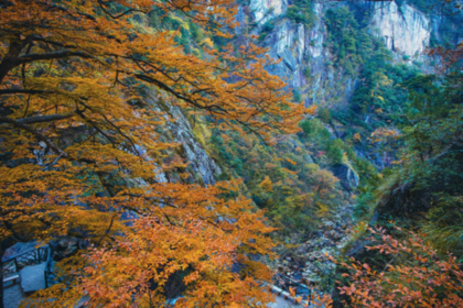 「秋日登高，周六出发」11.29 秋日大明山：悬空栈道，百丈千瀑，万米岩洞，到“浙江小黄山”，寻觅华东醉深秋色~