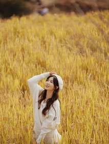 「秋意指南,周一」10.27 指南村的稻田黄啦!一起打卡秋日稻田,去看见秋天抓住秋天~