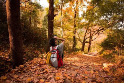 「周三出发，深秋徒步」11.26 南黄古道@一条南黄古道看尽醉美红枫，再不出发，秋天就要溜走了！