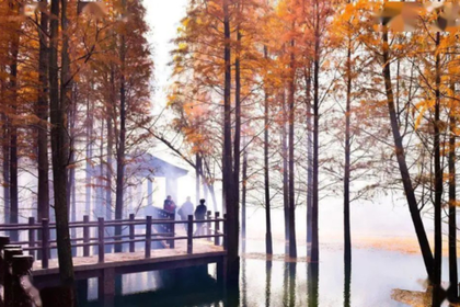 「山野徒步，周日出发」11.30 绍兴雪窦岭：柯桥人私藏的“小九寨沟”，徒步山野古道，邂逅水上红杉林~