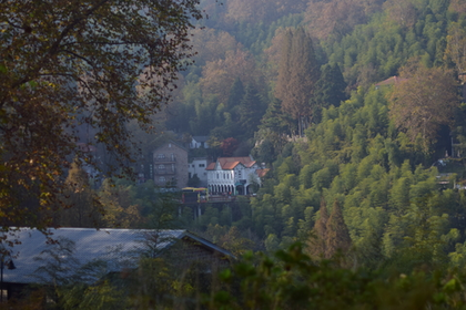 「山野徒步，周日出发」11.30 重走莫干山蒋公道，穿越竹海别墅群，探秘举世闻名的避世圣地~