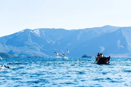 《云南精华7日》2-7人小车团，丽江+大理+沙溪+泸沽湖+香格里拉+白水台+虎跳峡+松赞林寺+环游洱海~